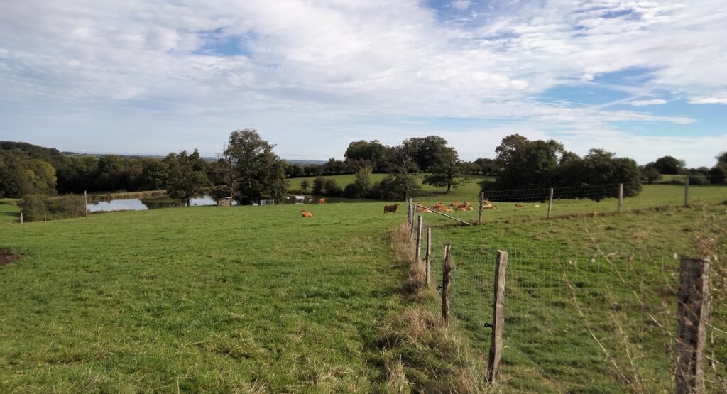 visite-chez-gregory-fort